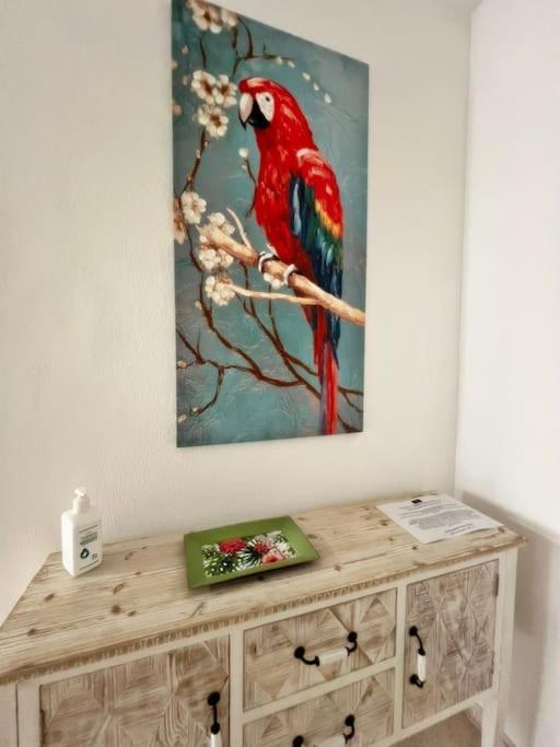 Magnifico Apartamento En El Centro De Fuengirola Εξωτερικό φωτογραφία